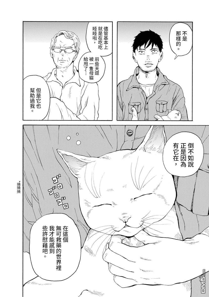 与猫随行第8话 ....您讨厌猫吗？
