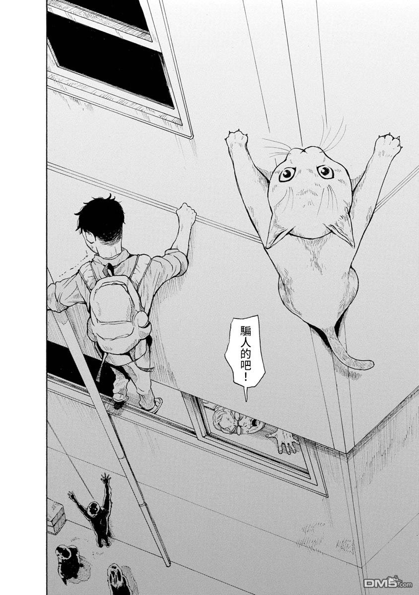 与猫随行第8话 ....您讨厌猫吗？