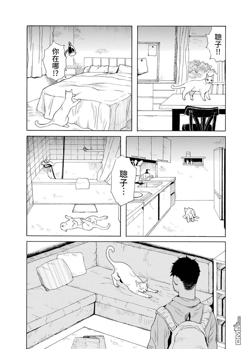 与猫随行第9话