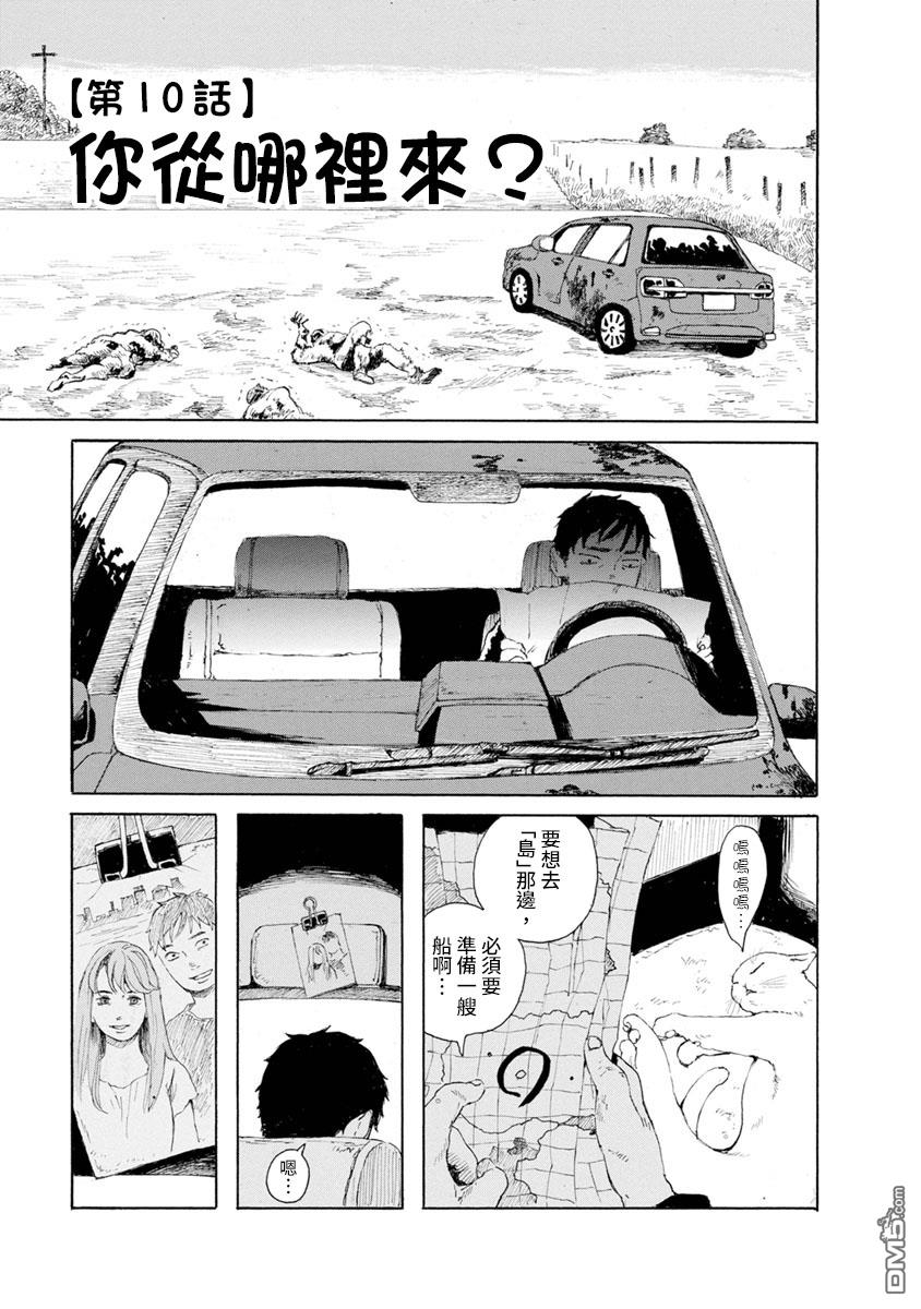 与猫随行第10话 你从哪里来？