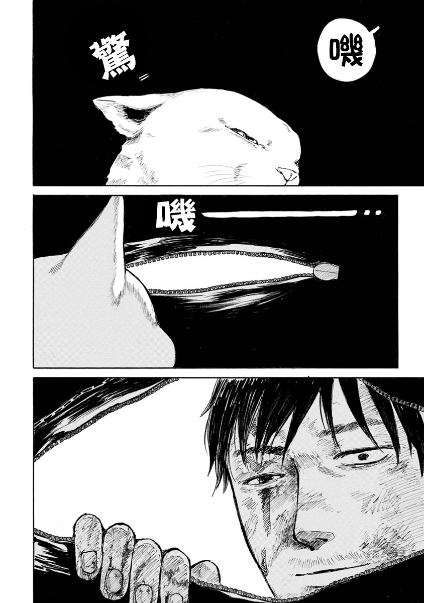 与猫随行第12话