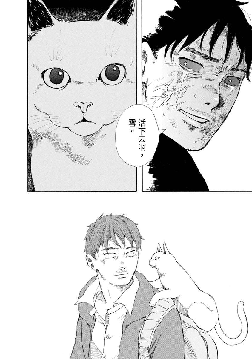 与猫随行第12话