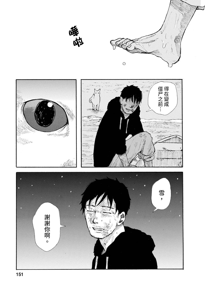 与猫随行第12话