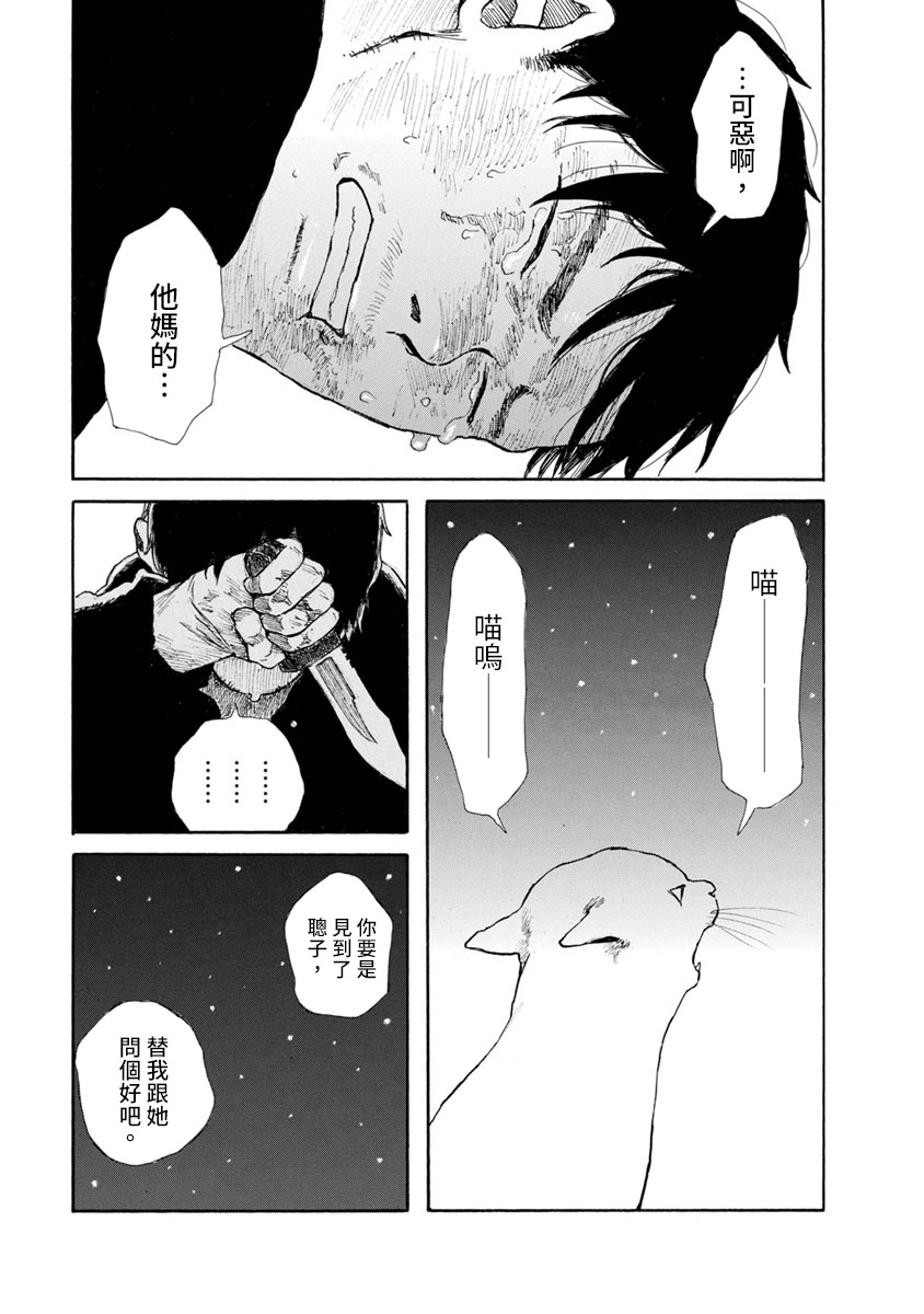 与猫随行第12话