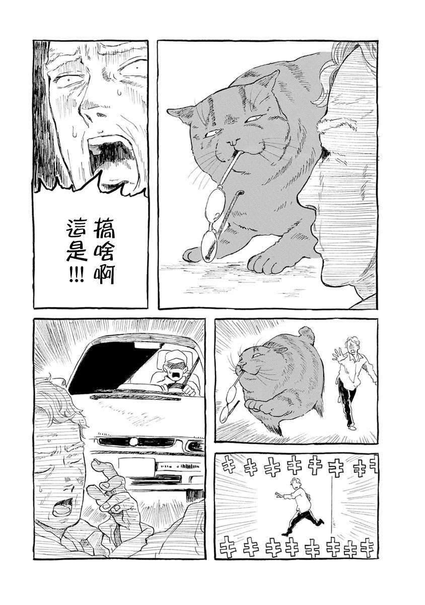 与猫随行第12.5话