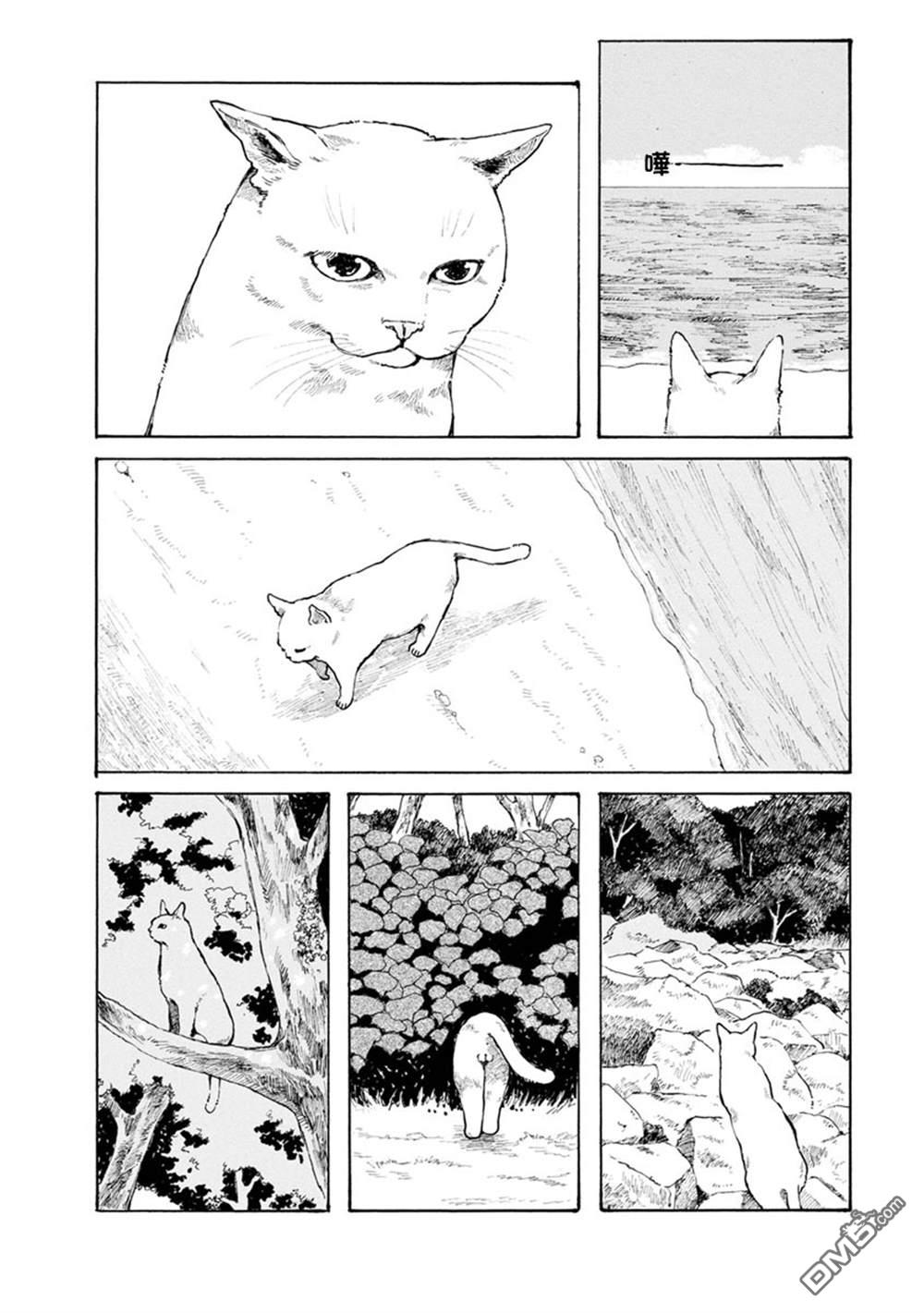 与猫随行第14话