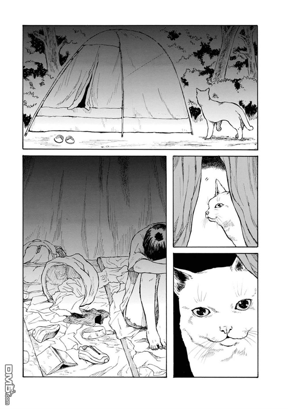 与猫随行第14话