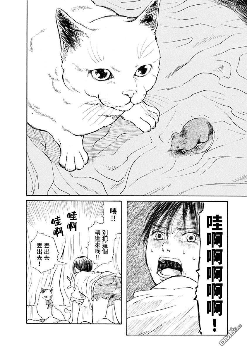 与猫随行第16话