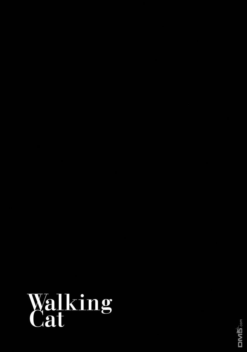 与猫随行第17话