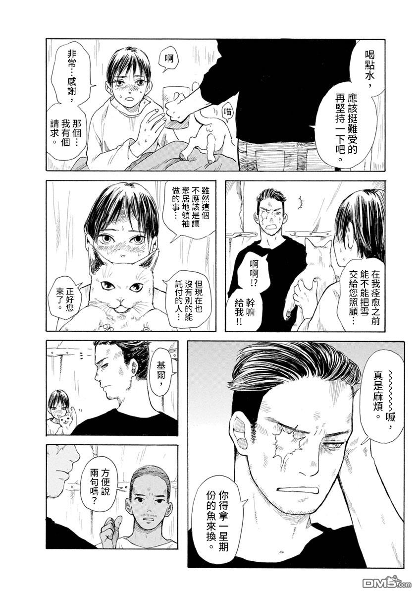 与猫随行第17话