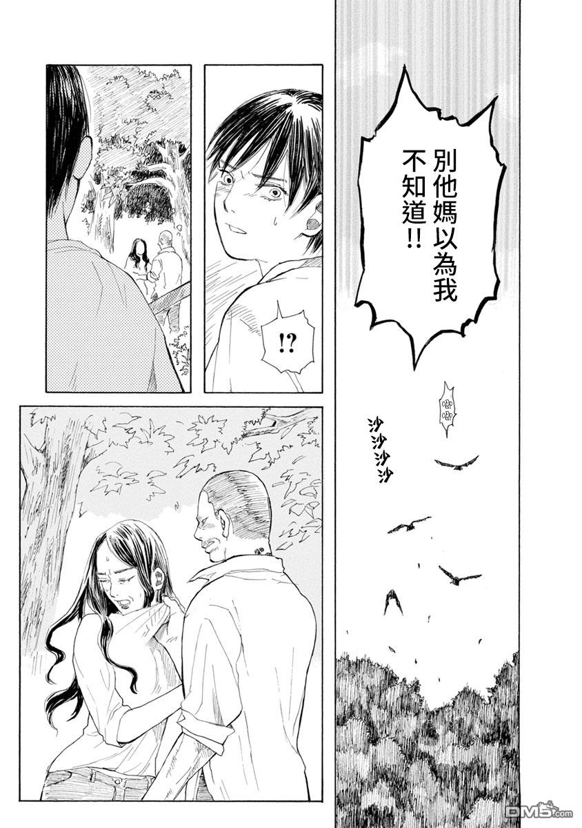 与猫随行第19话