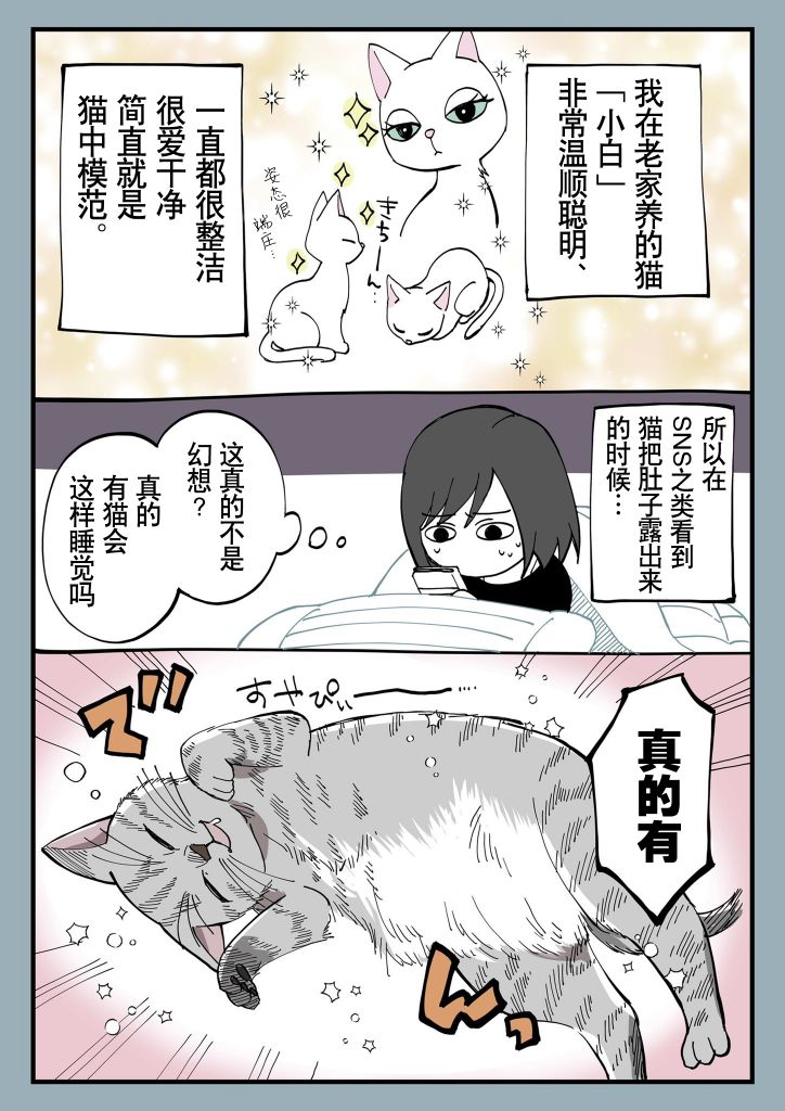 有猫的生活第03话