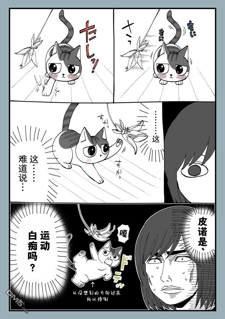 有猫的生活第4话