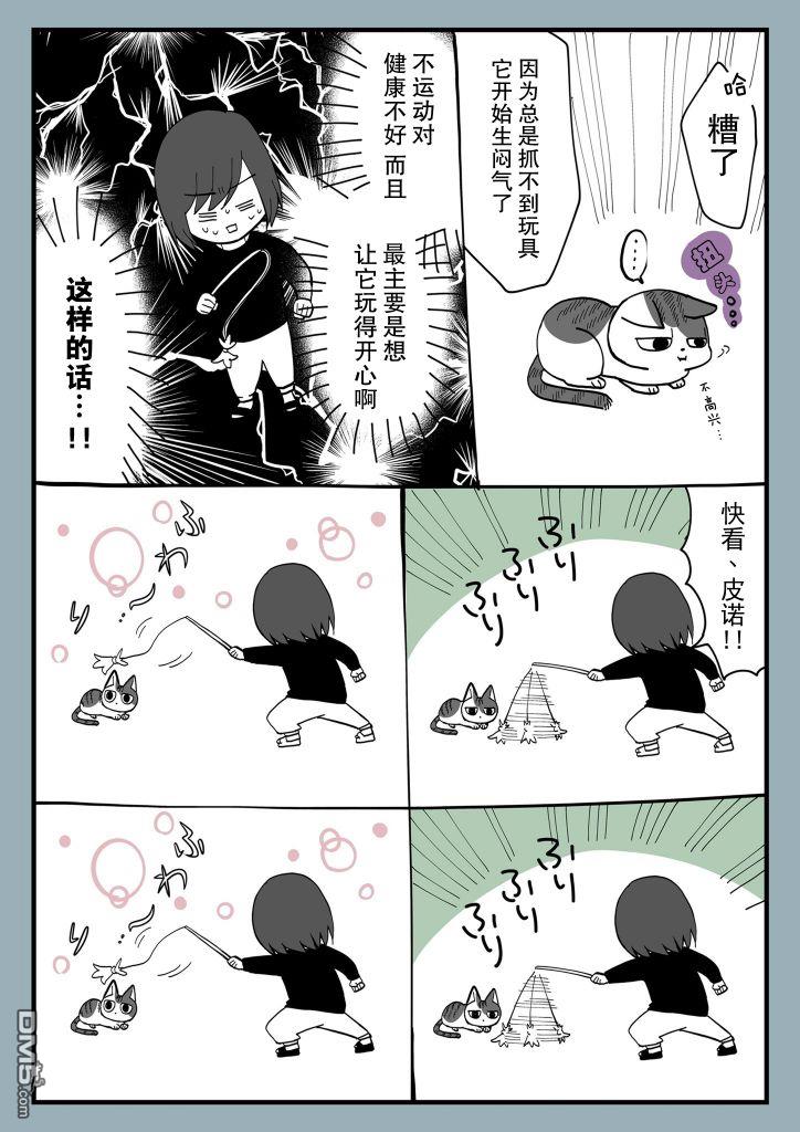 有猫的生活第4话