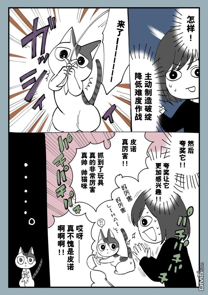 有猫的生活第4话