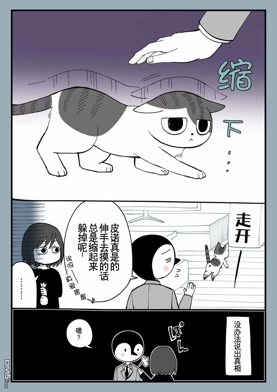 有猫的生活第5话