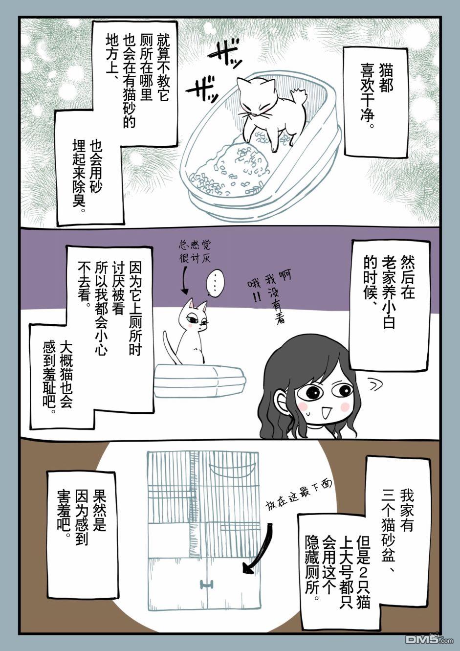 有猫的生活第6话