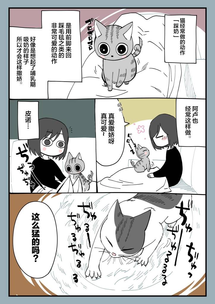 有猫的生活第07话