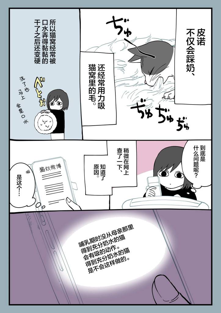 有猫的生活第07话