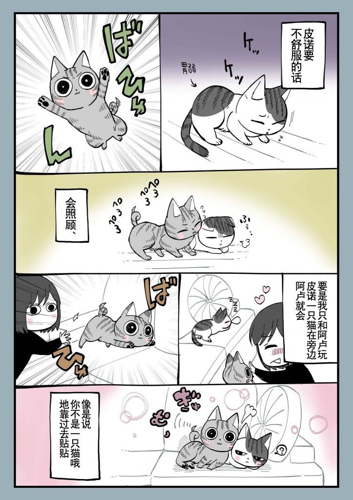 有猫的生活第08话