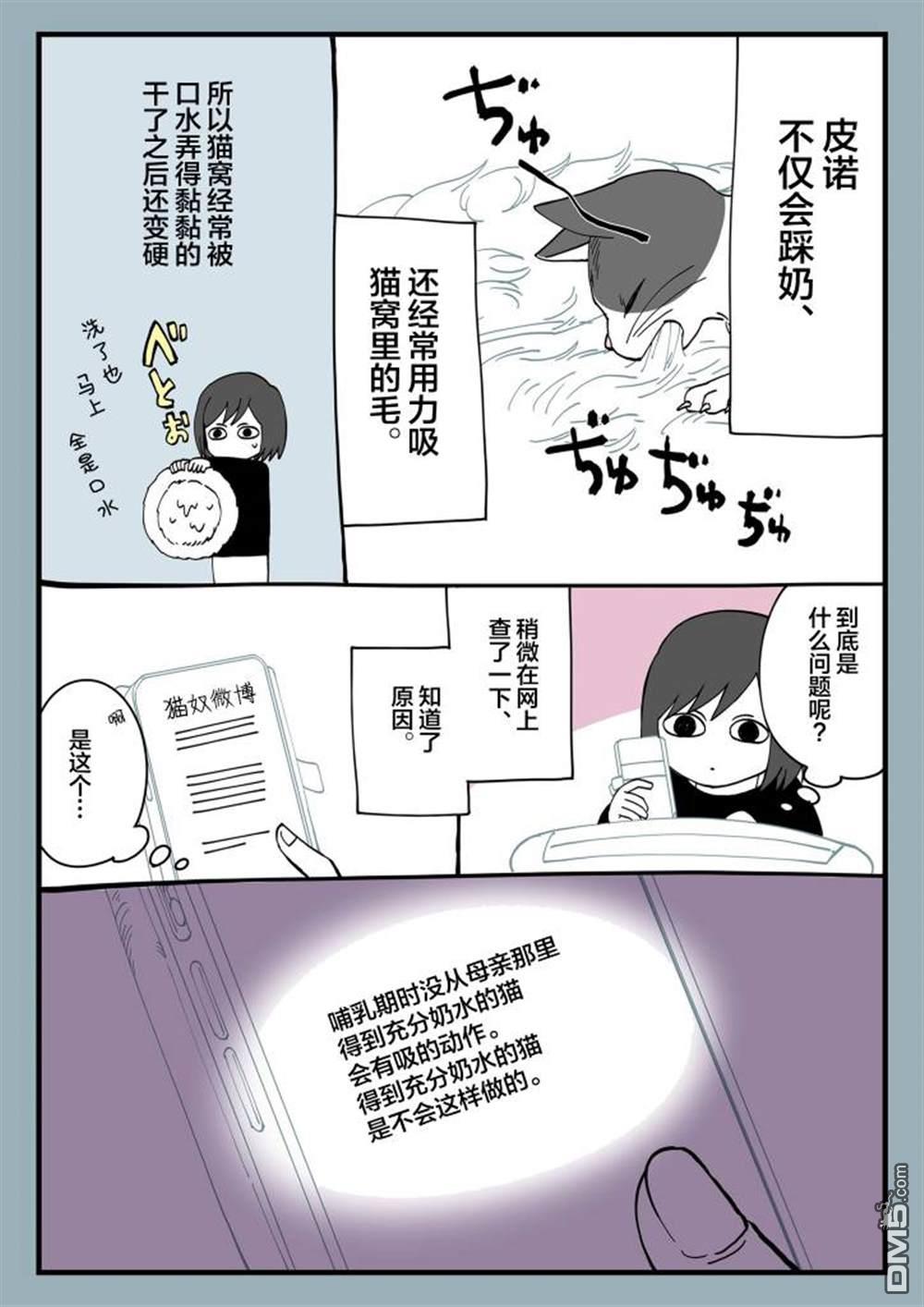 有猫的生活第7话