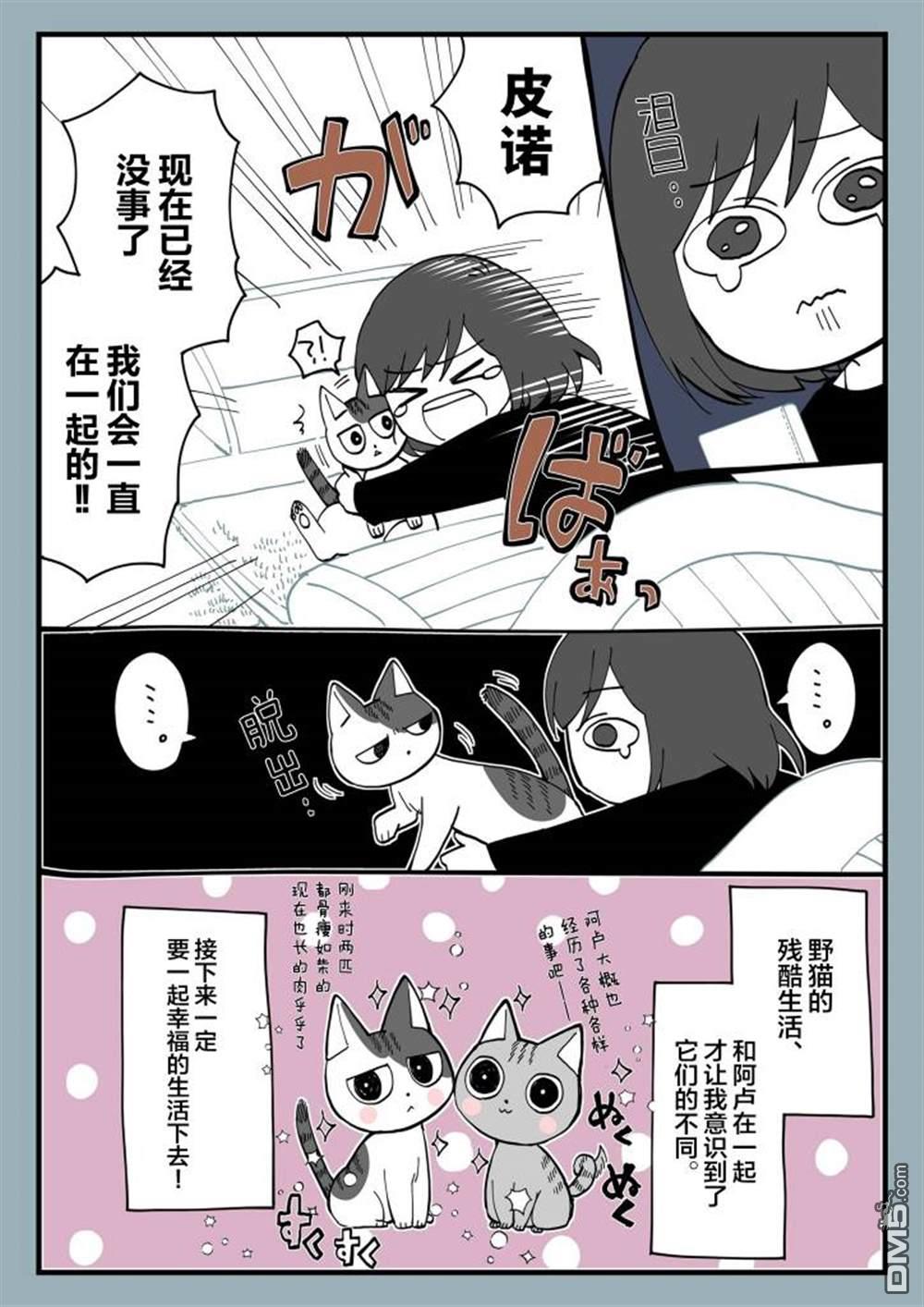 有猫的生活第7话