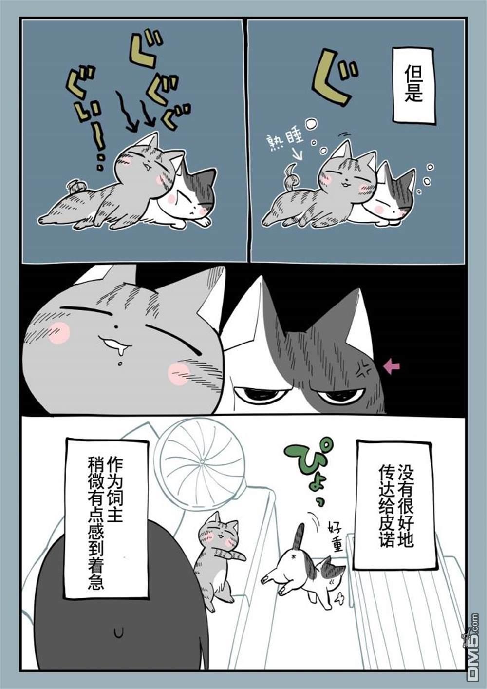有猫的生活第8话