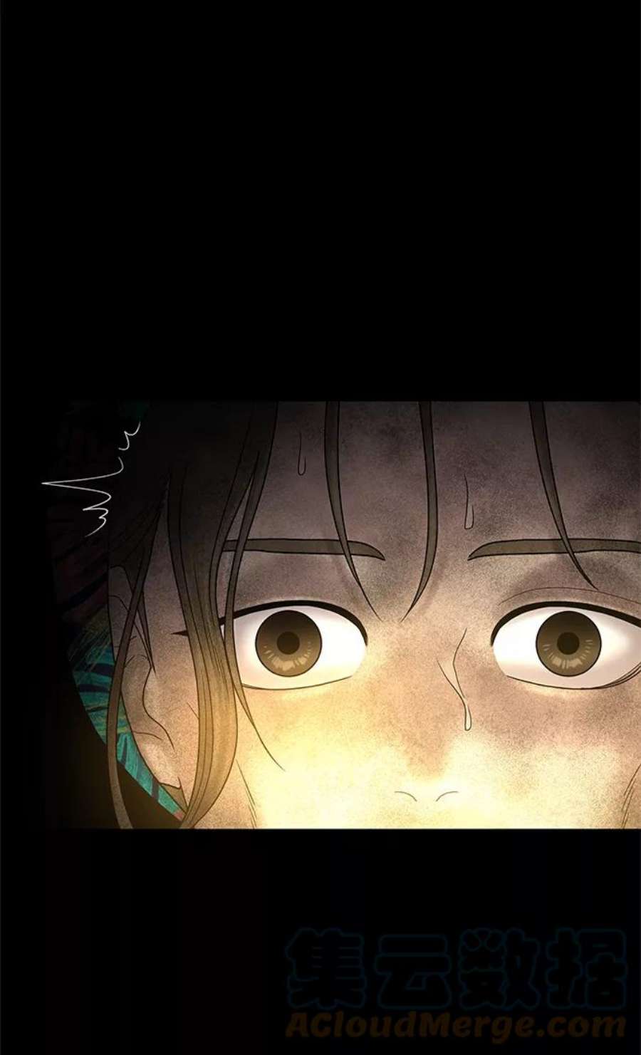 幸存者偏差55话