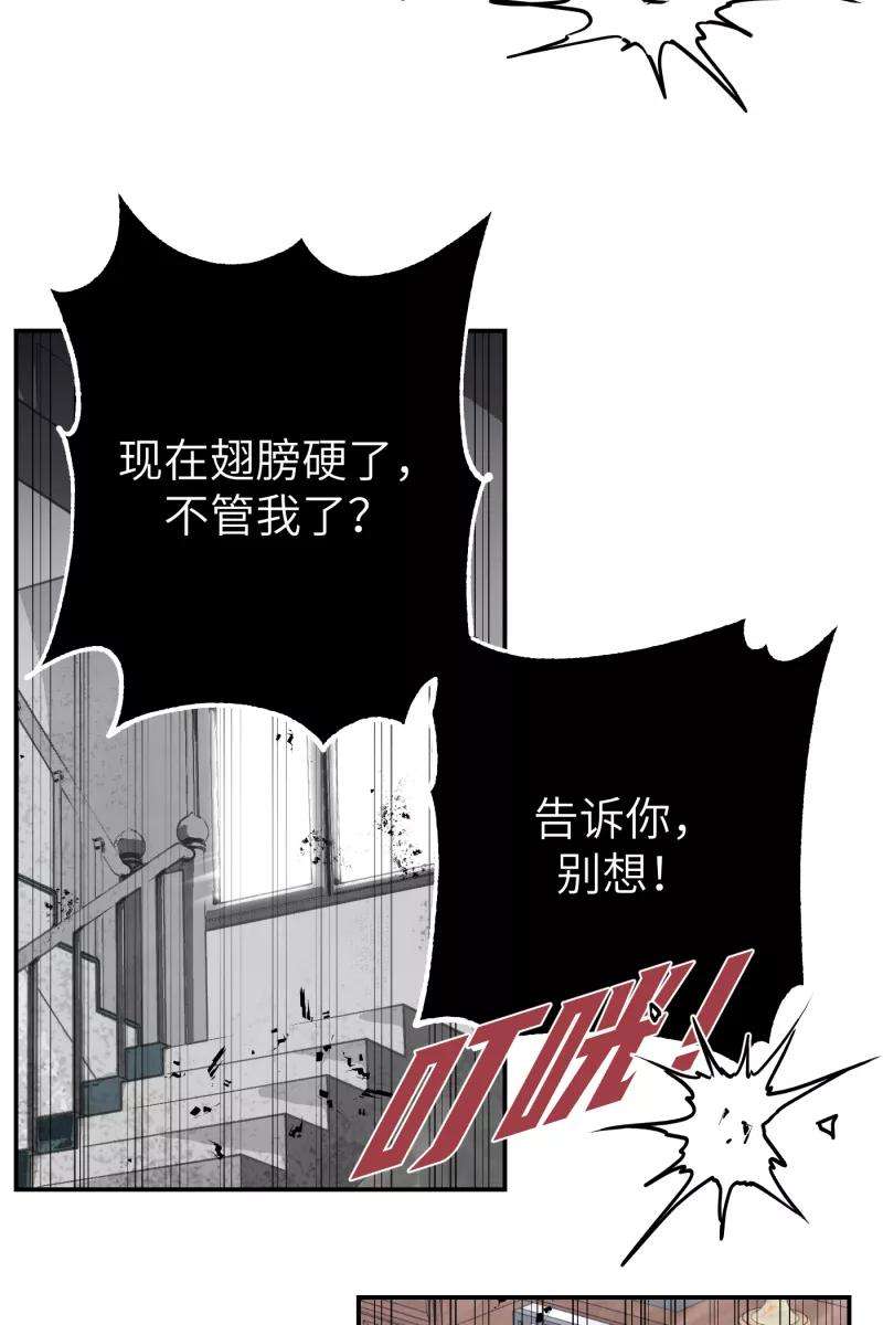 营业中请三连41话