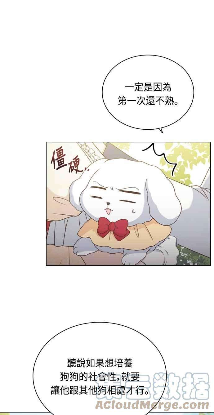 与皇帝的一夜情缘51话