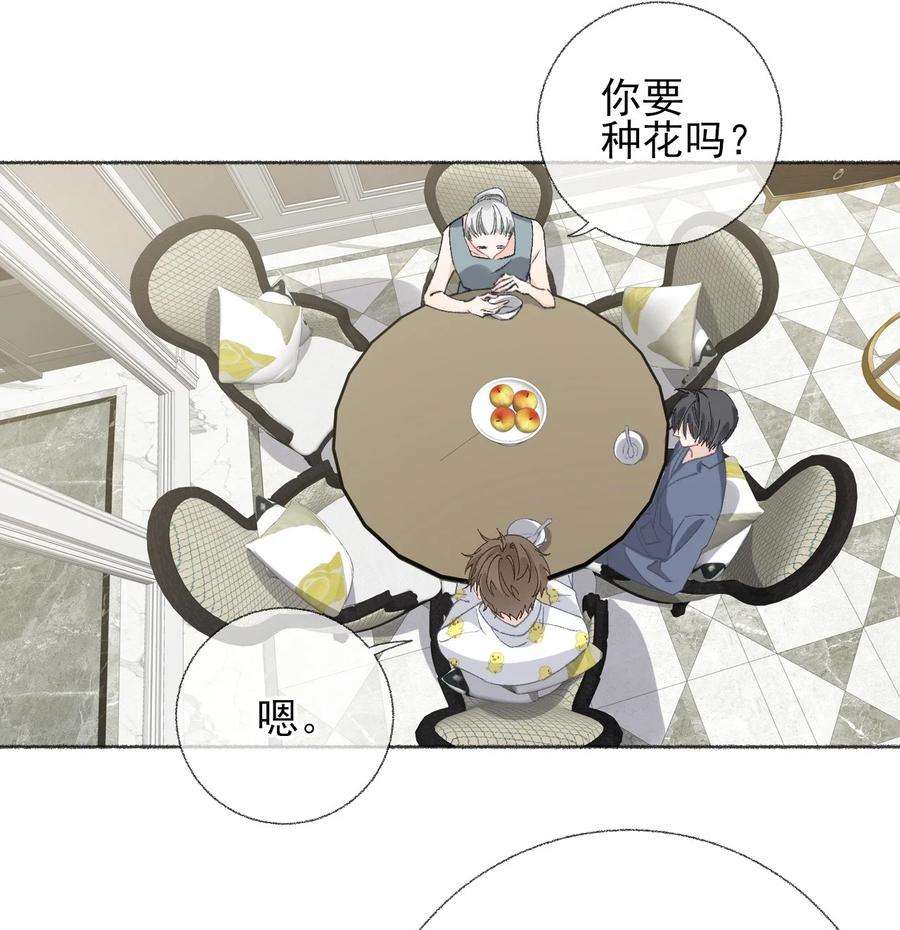攻略对象出了错039 那棵树好看吗？