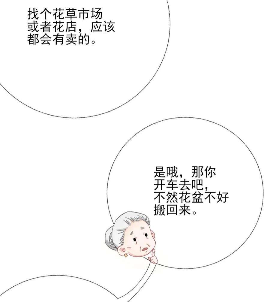 攻略对象出了错039 那棵树好看吗？