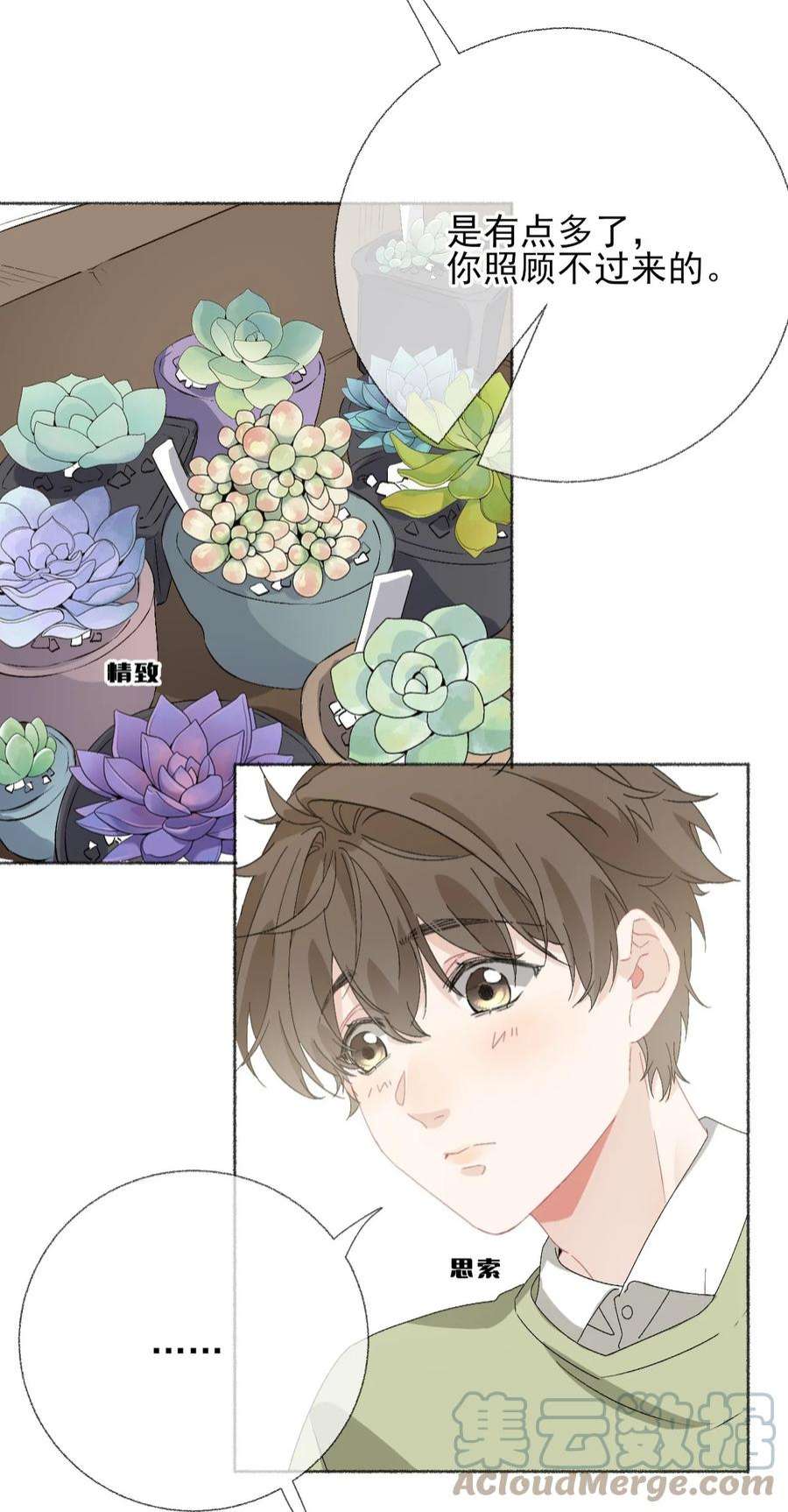 攻略对象出了错039 那棵树好看吗？