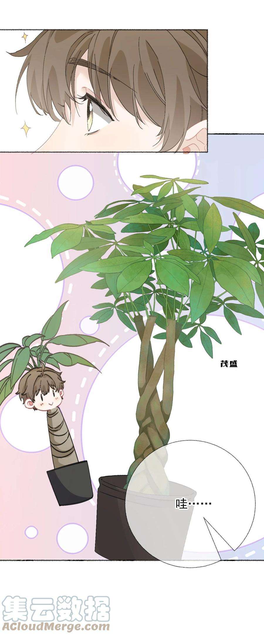 攻略对象出了错039 那棵树好看吗？