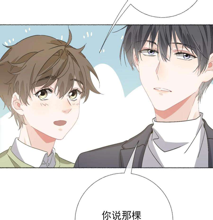 攻略对象出了错039 那棵树好看吗？