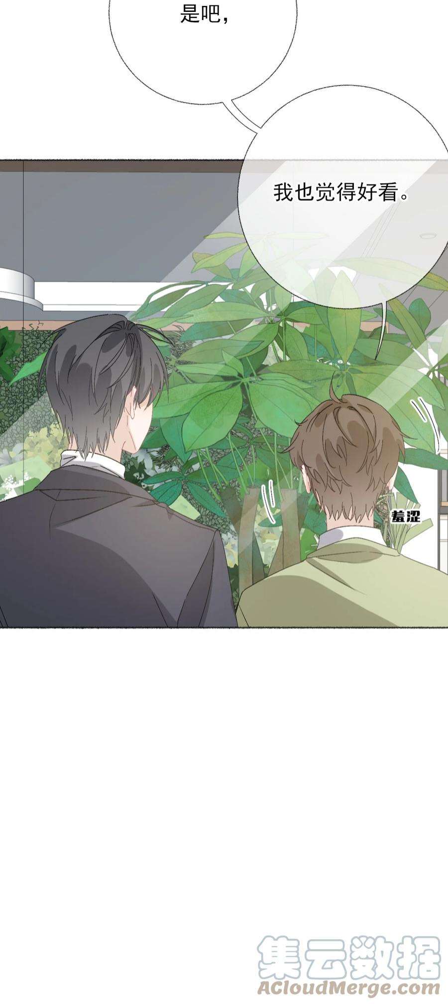 攻略对象出了错039 那棵树好看吗？
