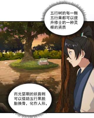 反派师尊的我带着徒弟们天下无敌13 第13话