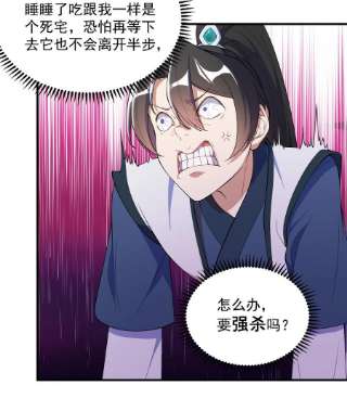 反派师尊的我带着徒弟们天下无敌13 第13话