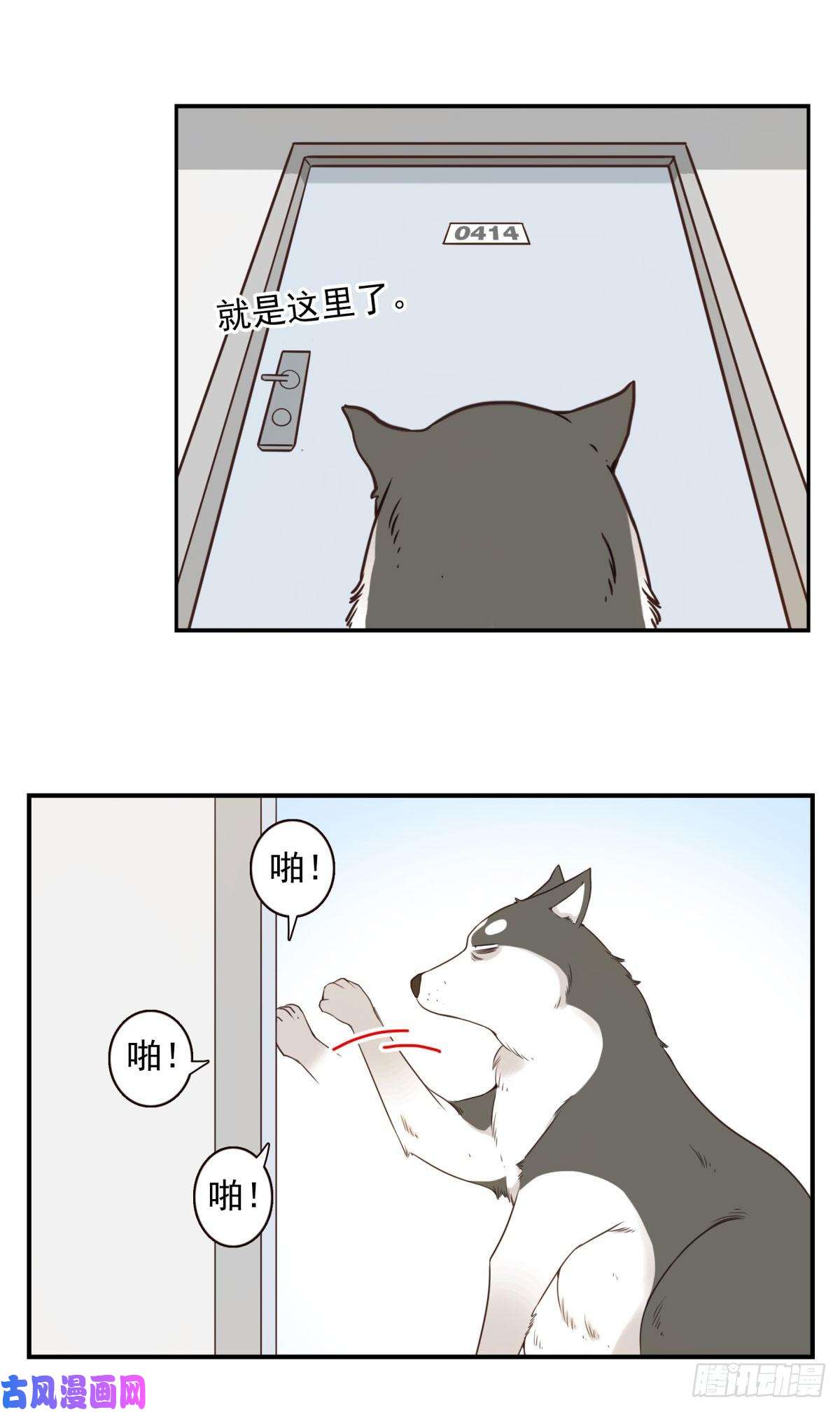 位列仙班006-好丑的狗