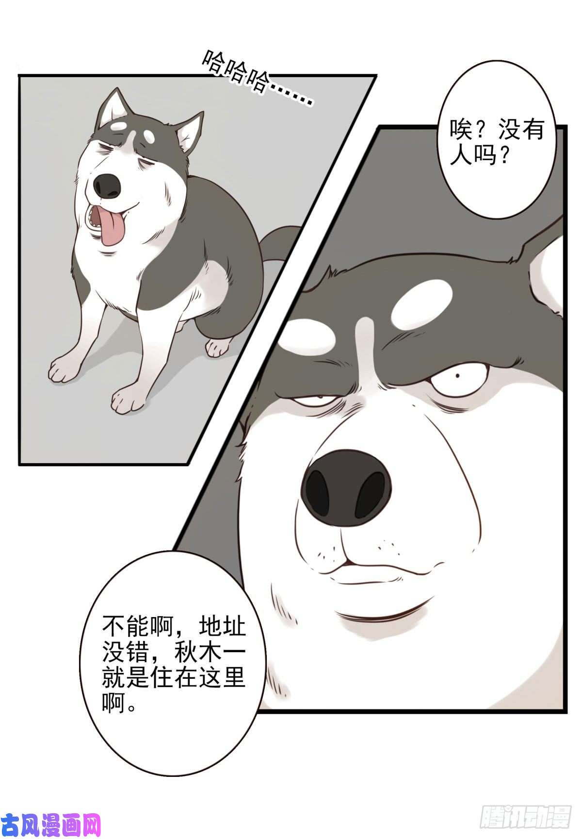 位列仙班006-好丑的狗