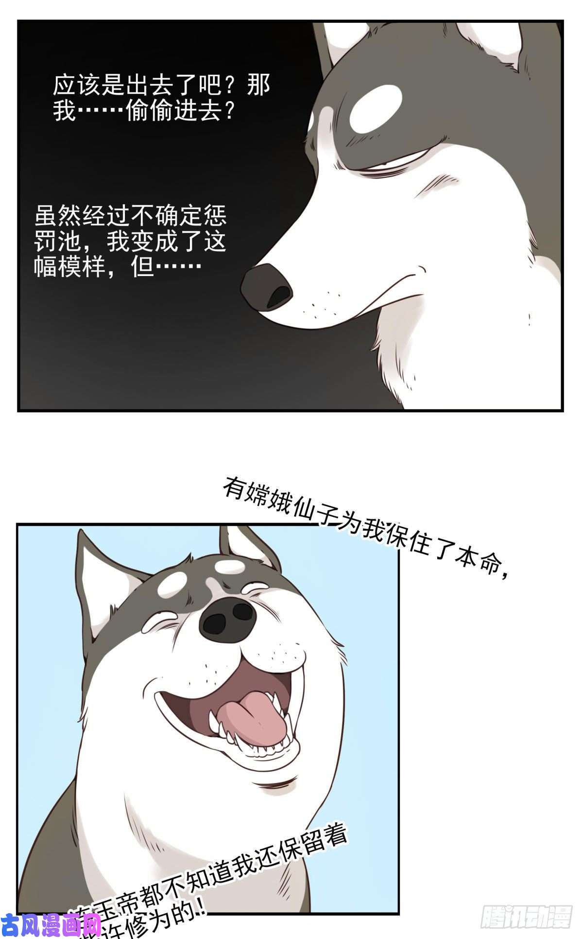 位列仙班006-好丑的狗