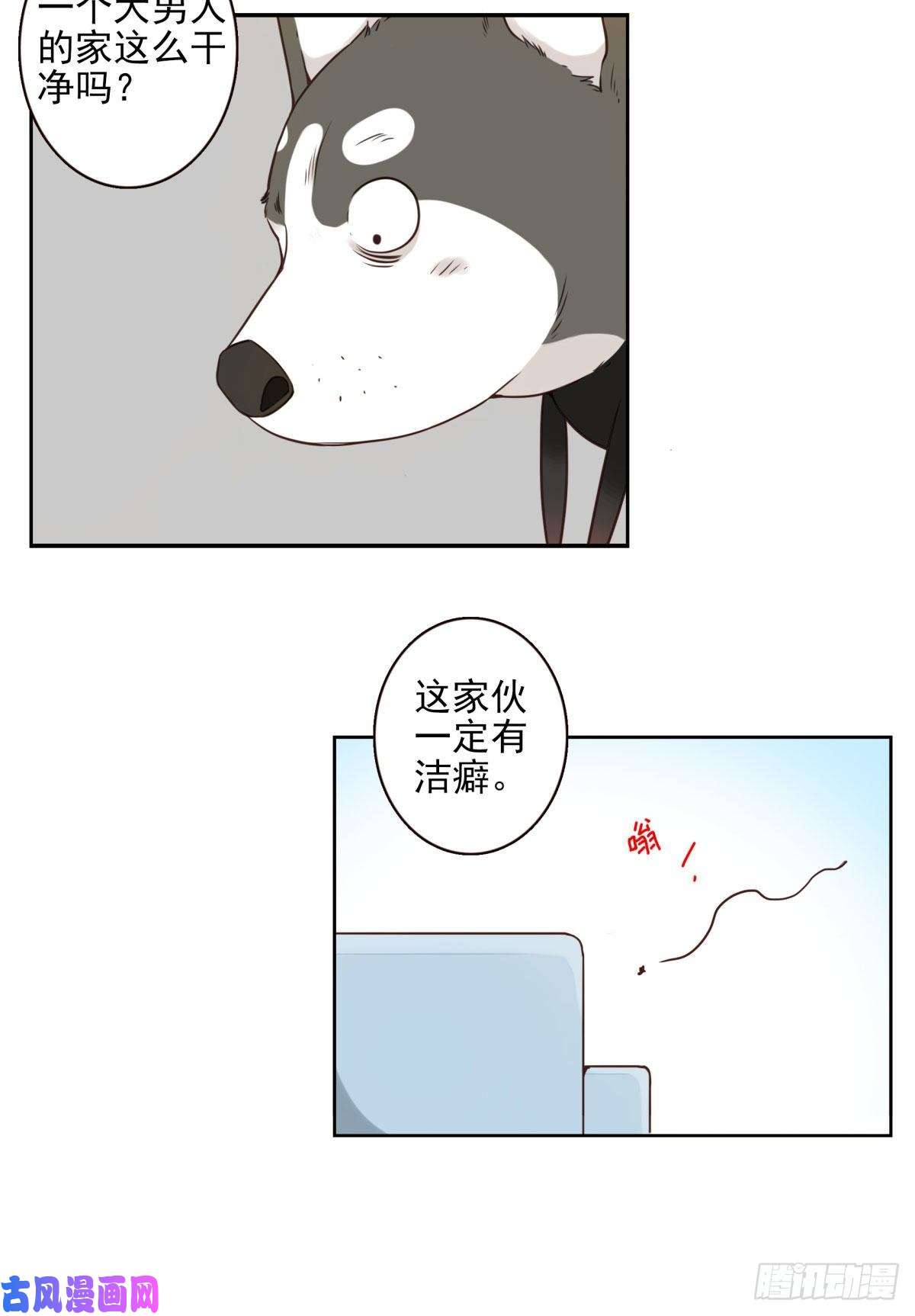 位列仙班006-好丑的狗