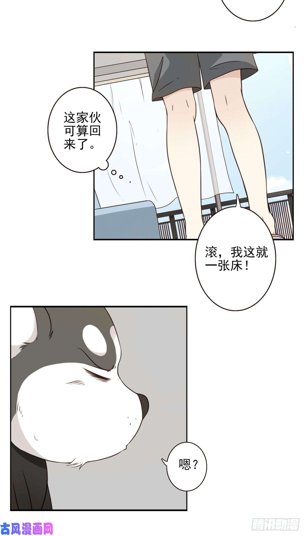 位列仙班006-好丑的狗