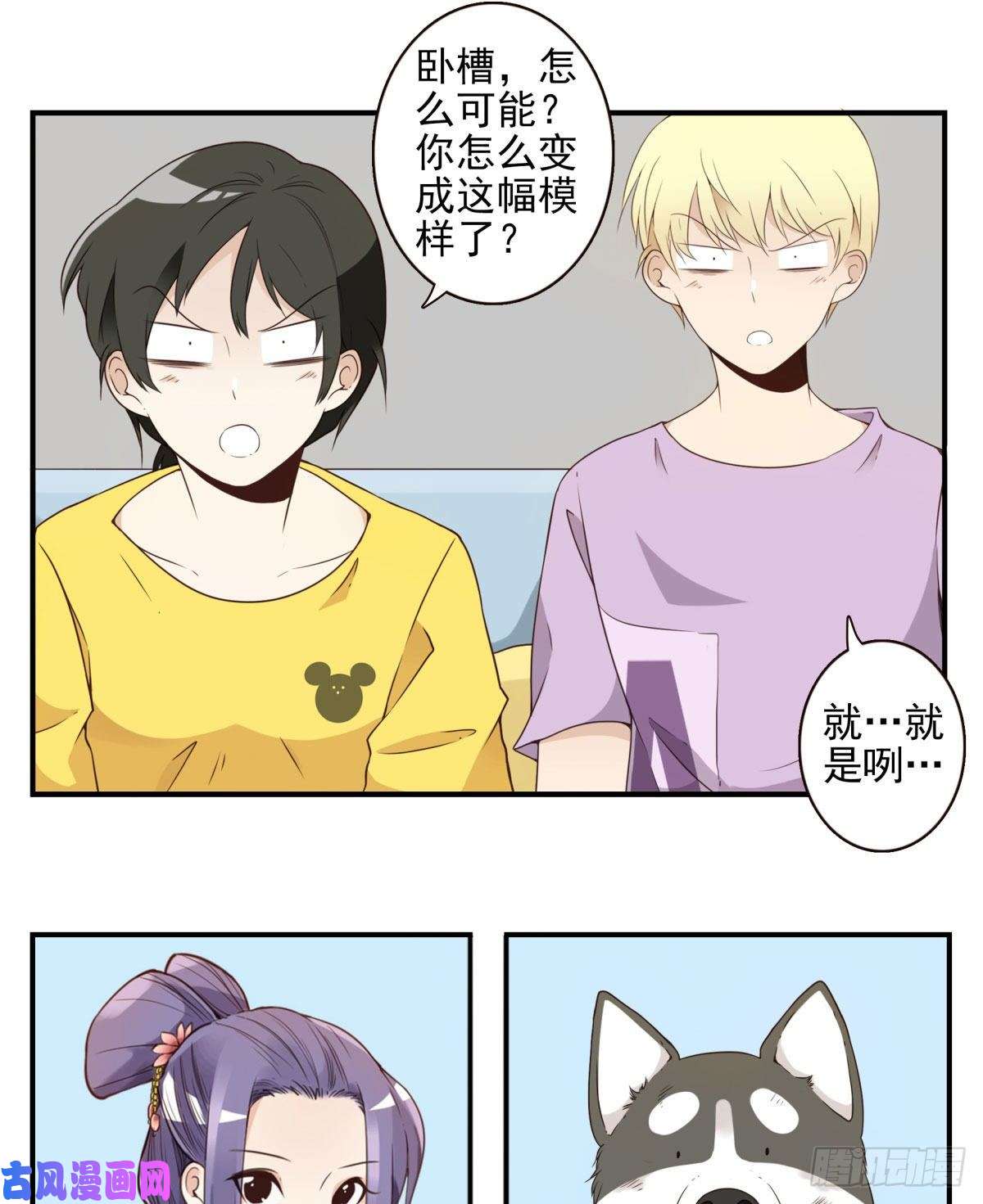 位列仙班006-好丑的狗