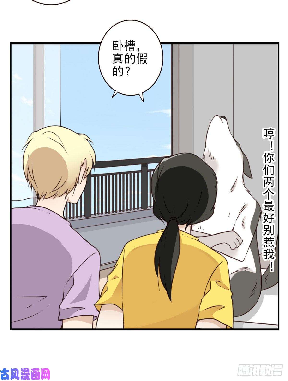 位列仙班006-好丑的狗