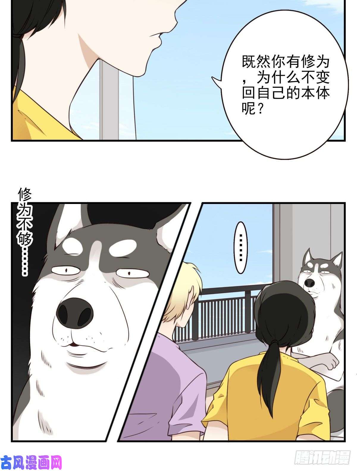 位列仙班006-好丑的狗