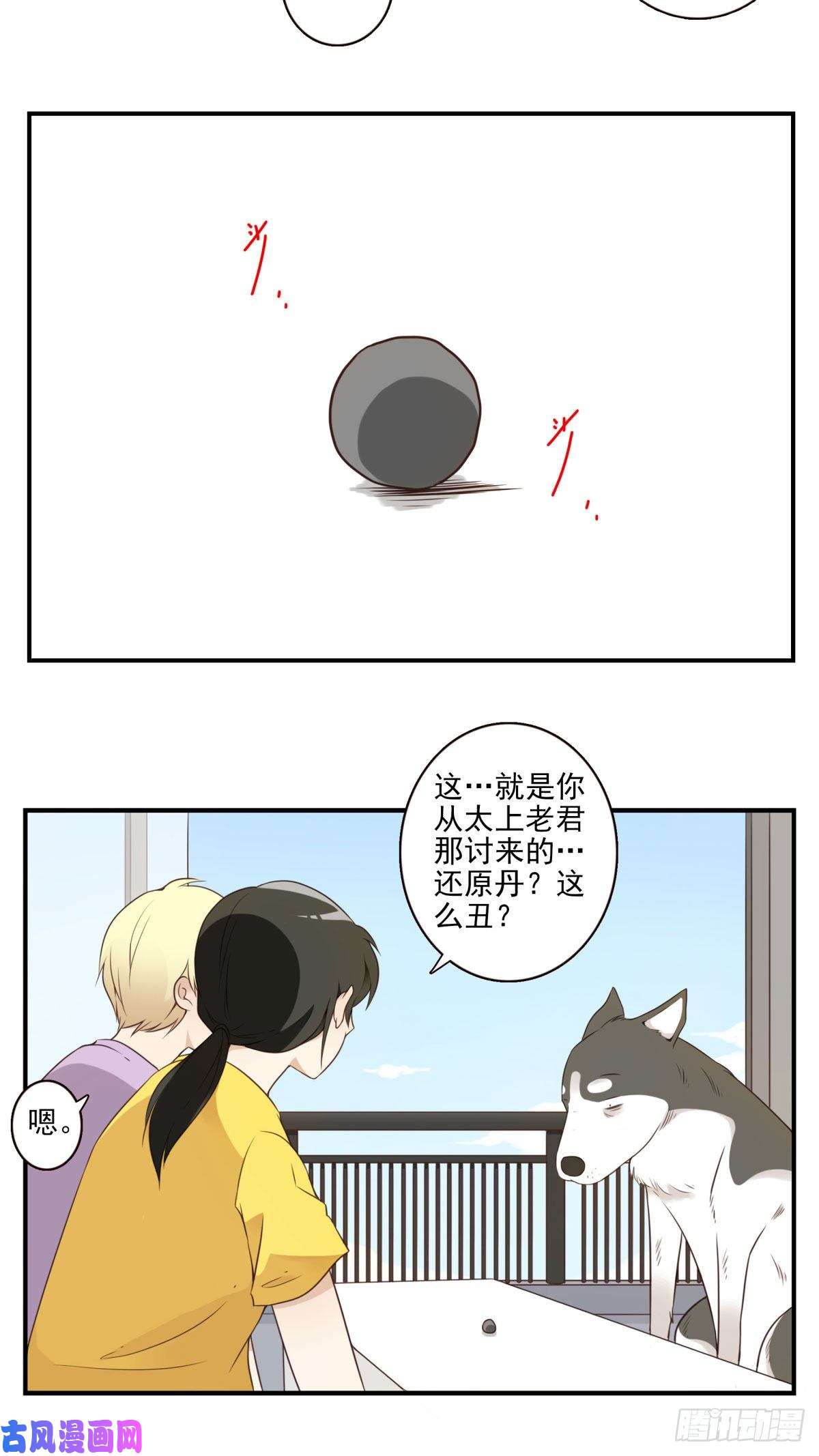 位列仙班006-好丑的狗