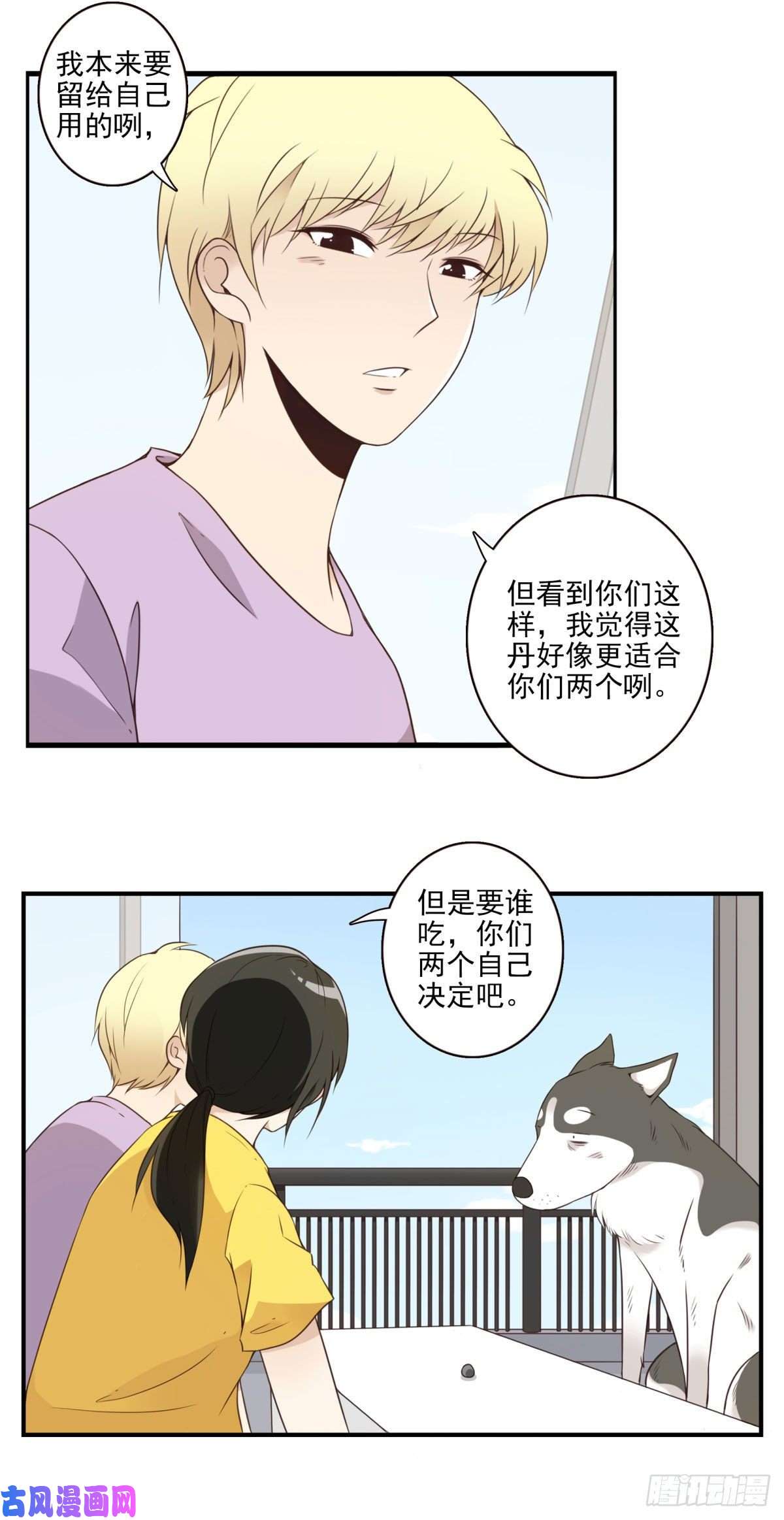 位列仙班006-好丑的狗