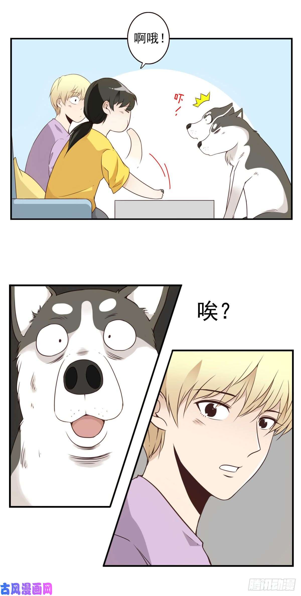 位列仙班006-好丑的狗