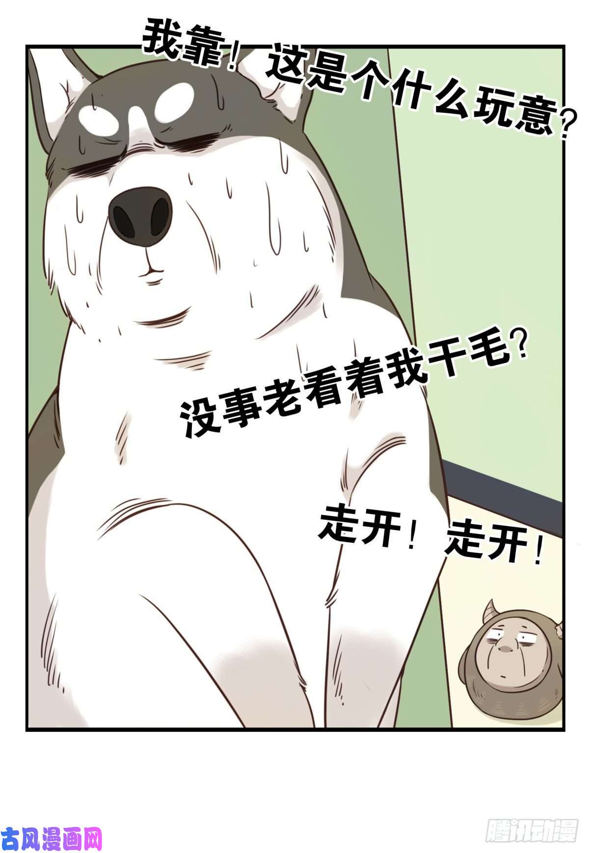 位列仙班006-好丑的狗
